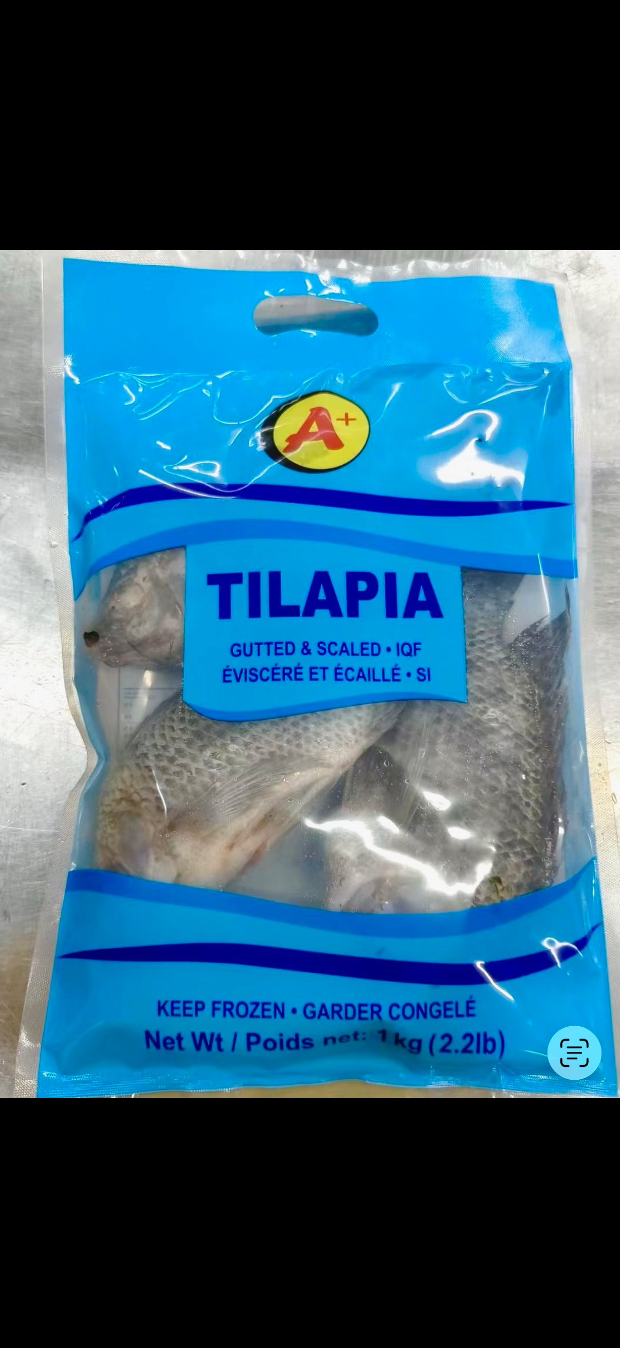 Tilapia Fish